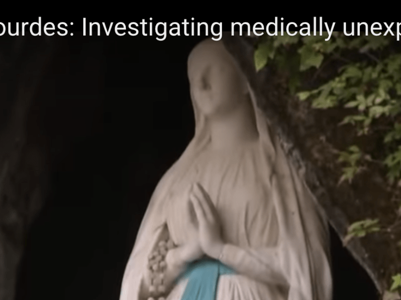 Validating the miracles of                   Our Lady of&nbsp;Lourdes